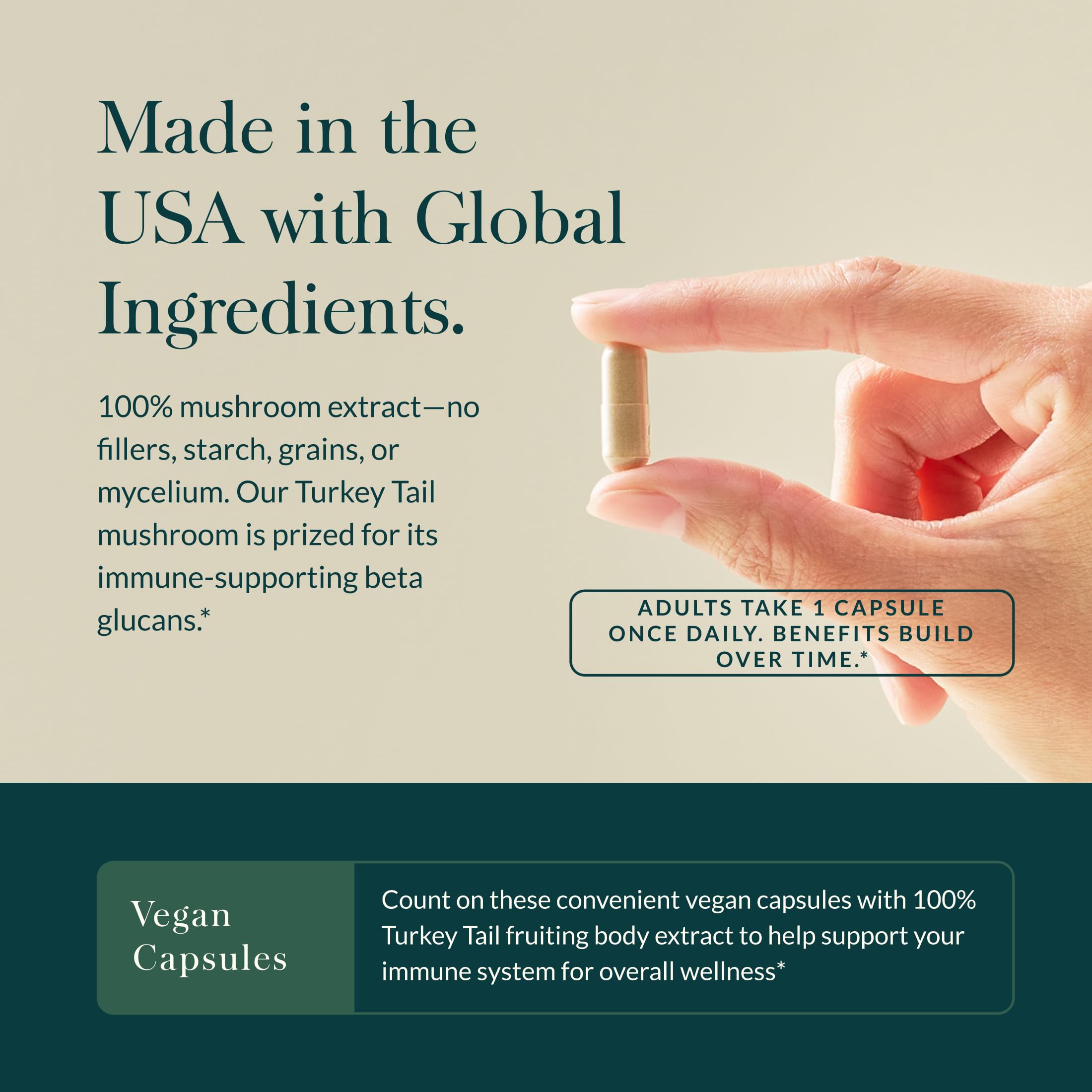 Gaia Herbs Turkey Tail fruiting body extract close-up highlighting beta-glucans.