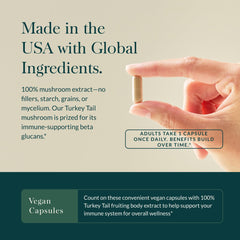 Gaia Herbs Turkey Tail fruiting body extract close-up highlighting beta-glucans.