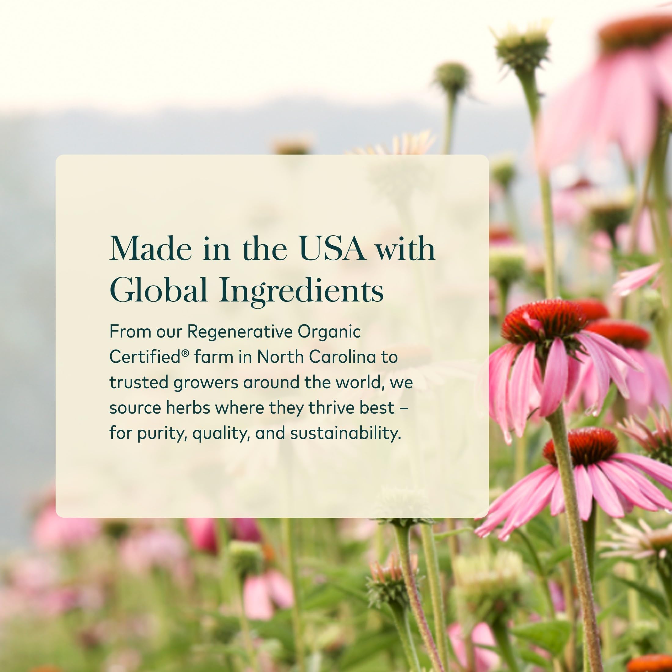Gaia Herbs turmeric root close-up displaying natural ingredients