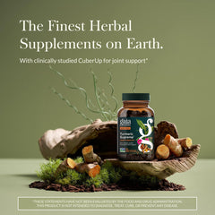 Gaia Herbs Turmeric Supreme capsules for convenient daily joint comfort.