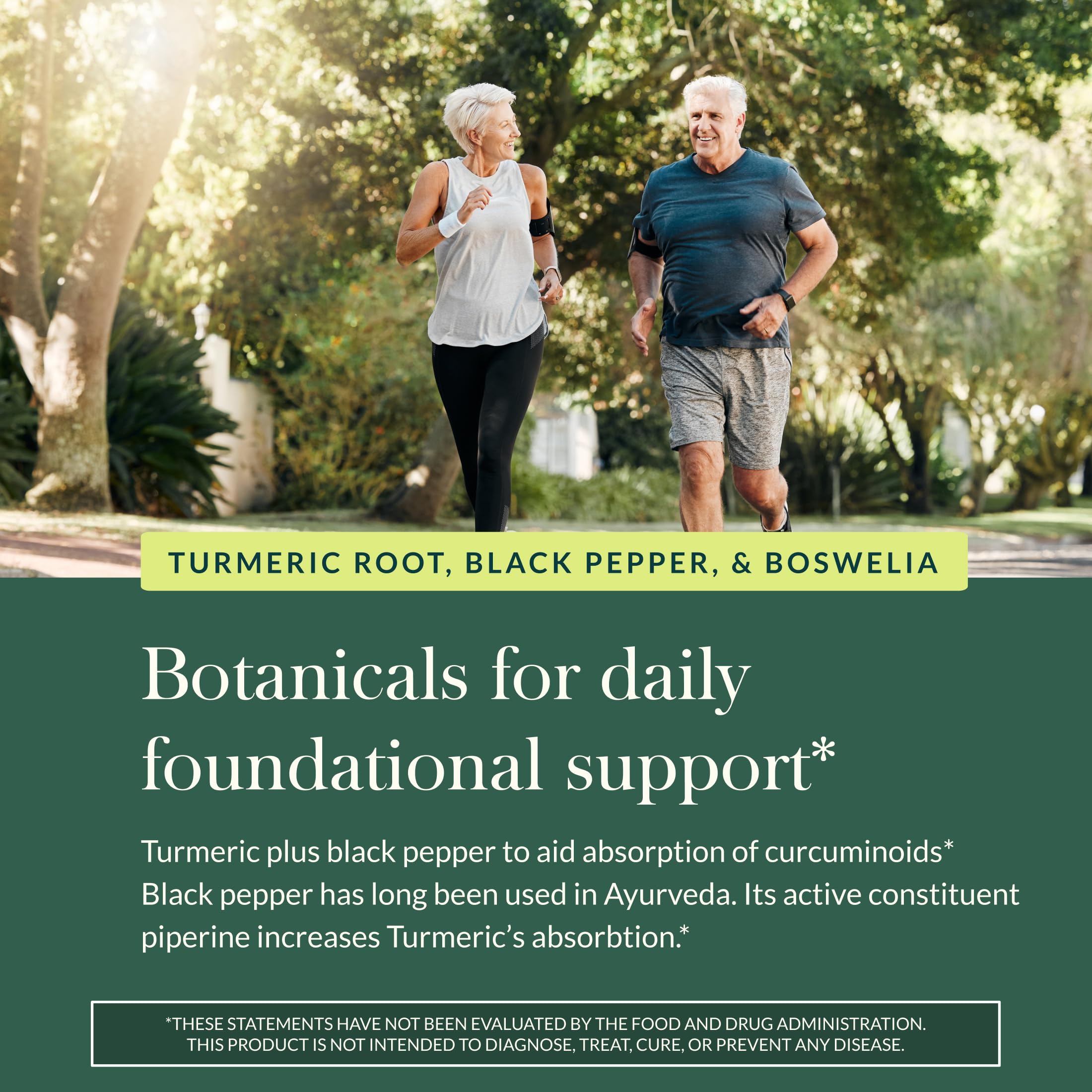 Ginger root component in Gaia Herbs Joint Health formula