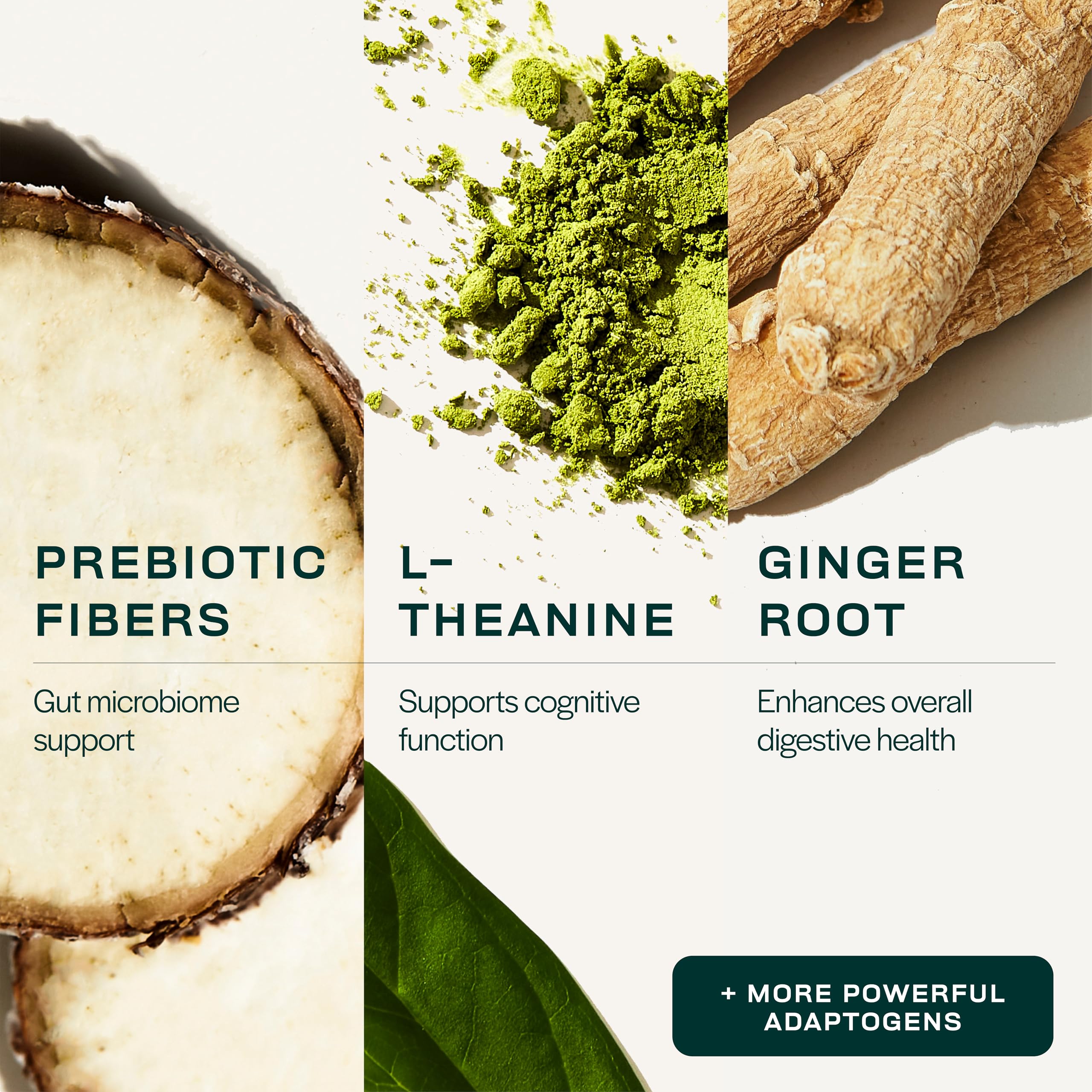 Close-up of chlorella and greens ingredients illustrates immune-support inspired plant-powered nutrition.