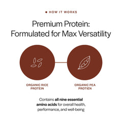 Oats bowl with powder for easy, balanced morning nutrition.