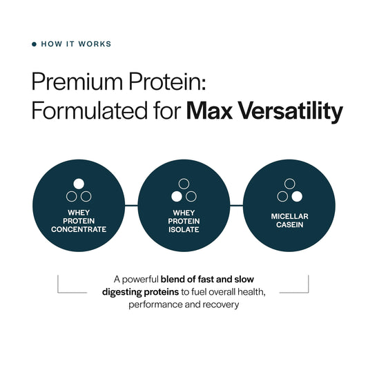 Gainful Everyday Whey Bundle packaging back view shows ingredients and no artificial additives.
