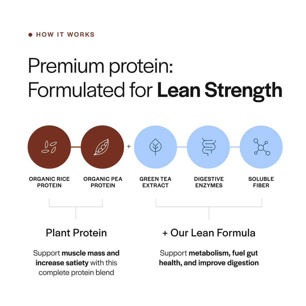 Gainful Lean Plant Protein powder close-up showing smooth texture