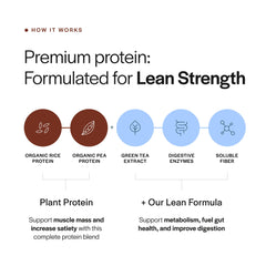 Gainful Lean Plant Protein powder close-up showing smooth texture