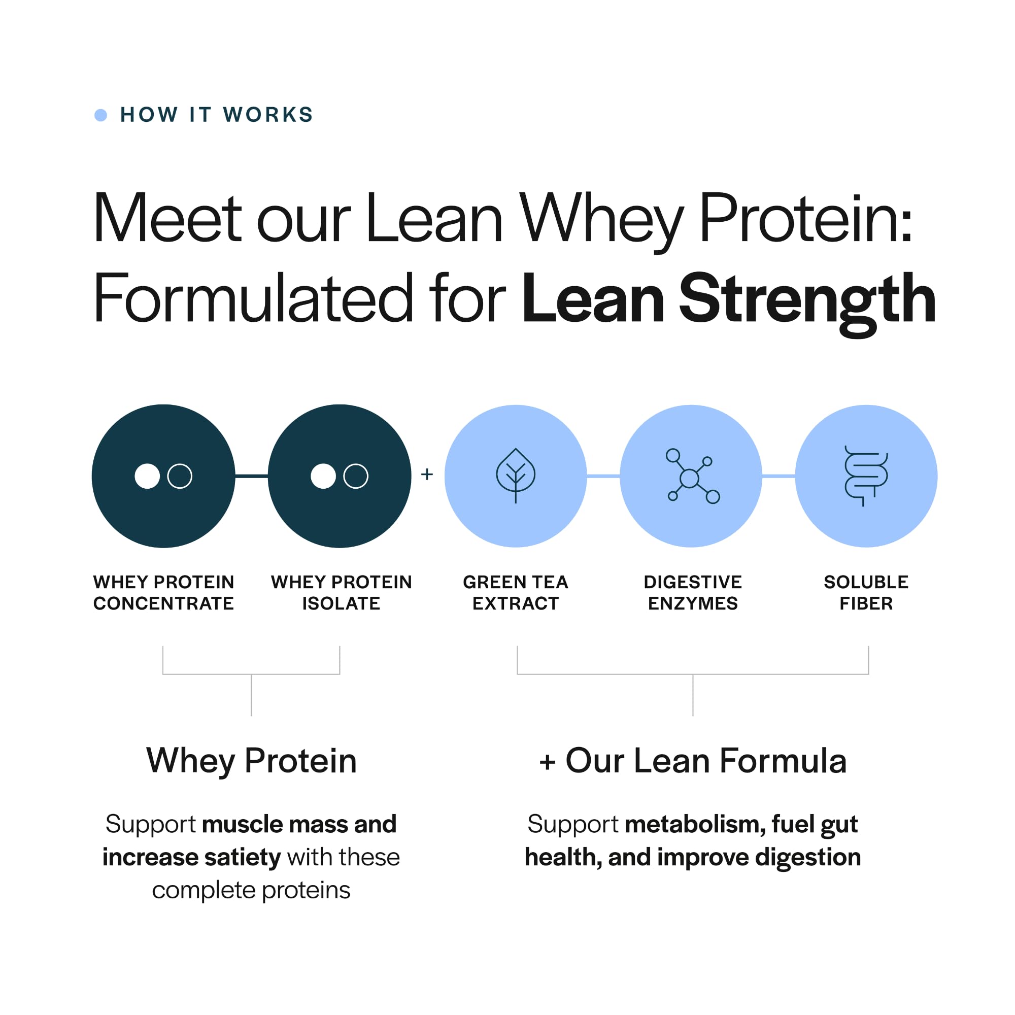 Gainful Lean Whey green tea extract highlights metabolism-supporting ingredients.