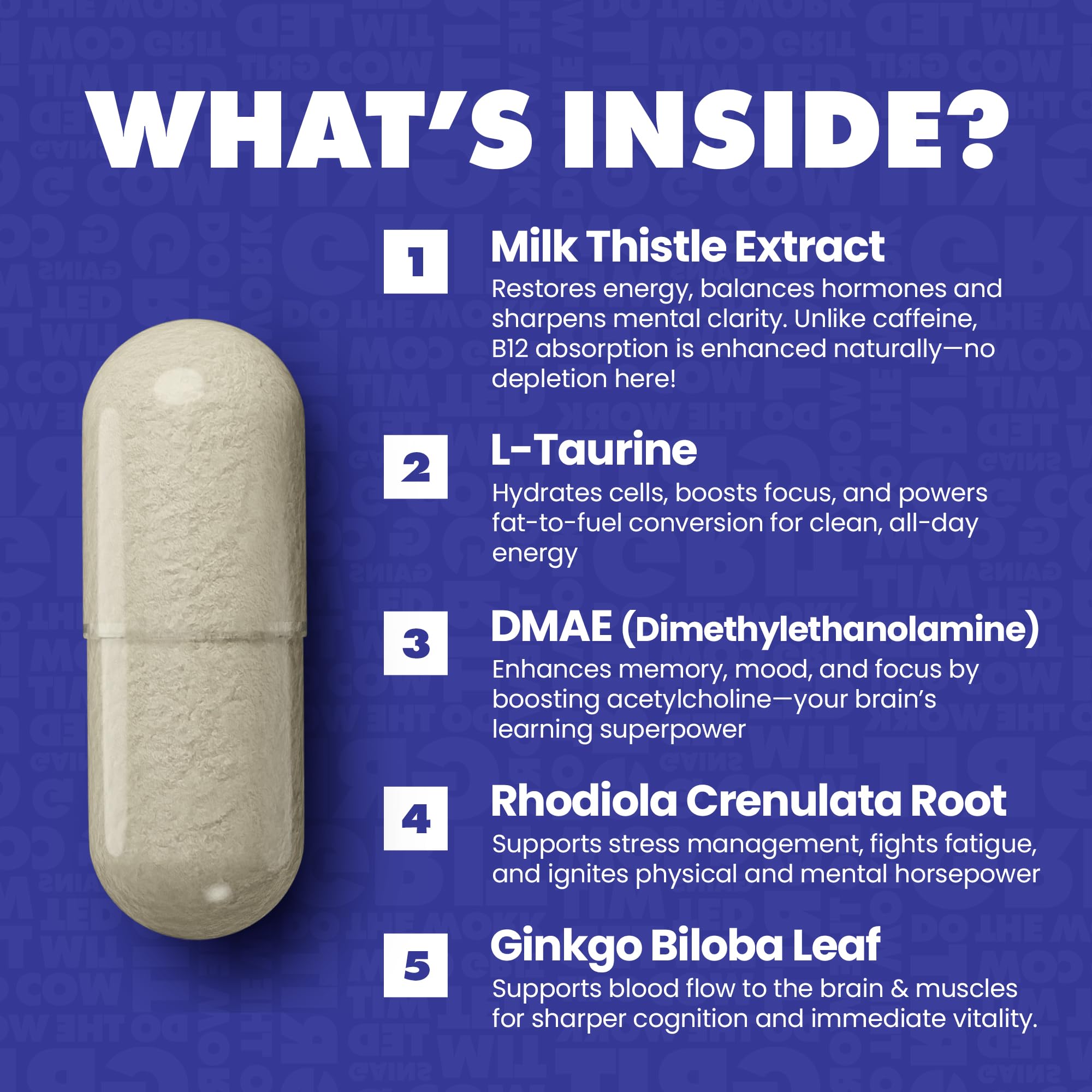 GAINS IN BULK Elevated Nootropic with plant enzymes aids comfortable digestion