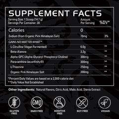 Gains in Bulk No Matter What shaker bottle prepared for training.