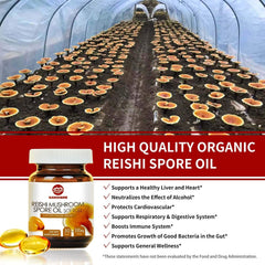 Extraction process using supercritical CO2 preserves bioactives in GANOHERB Reishi Spore Oil.