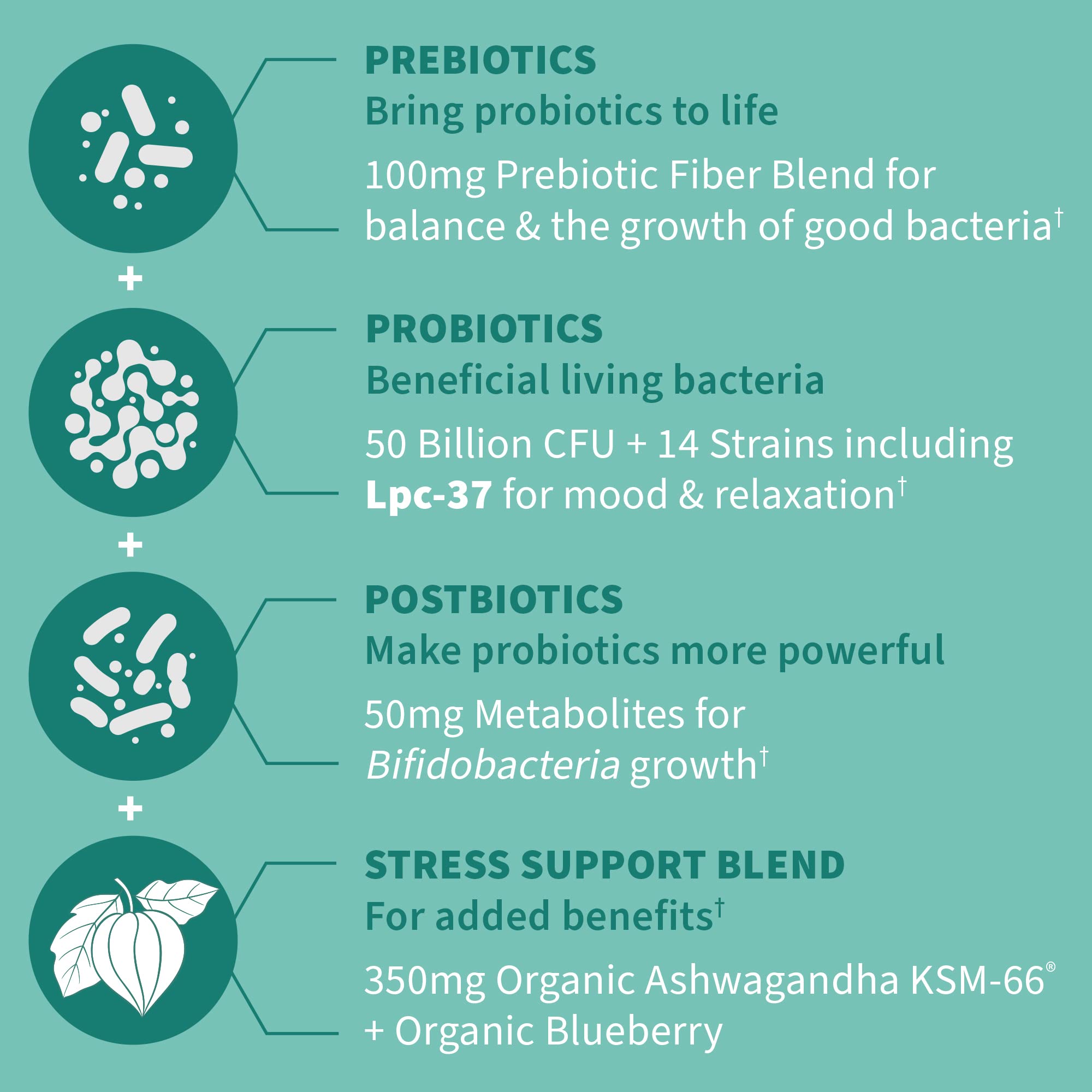 Garden of Life Calm mood-relaxation bottle for convenient daily wellness.