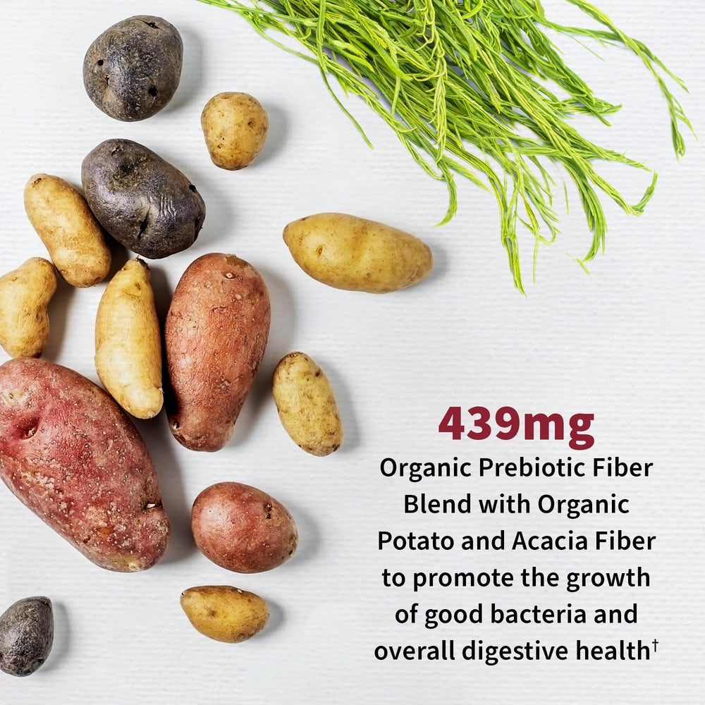 Garden of Life Dr Formulated Urinary Tract+ shelf-stable packaging for convenient use