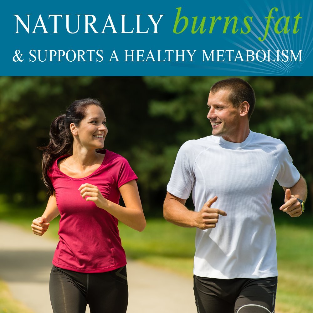 Garden of Life fucoThin softgel close-up emphasizing Xanthigen blend for metabolic support