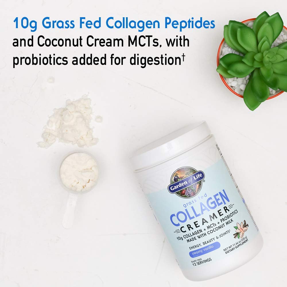 Garden of Life collagen creamer vanilla probiotic area suggests digestion support.