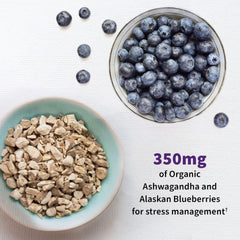 Blueberries and acacia fiber components in Mood+ formula.