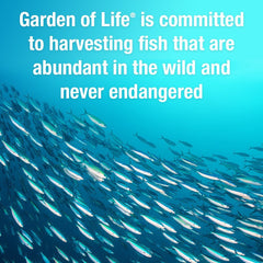 MSC certification badge indicating sustainable sourcing for Oceans 3 Beyond Omega-3