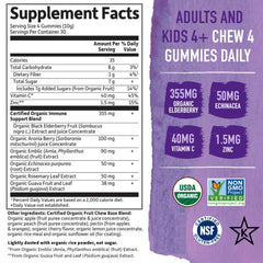Garden of Life Organics Elderberry Gummies kids-serving pack shown for family routines.