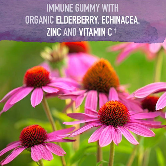 Garden of Life Organics Elderberry Gummies on a plate for family use.