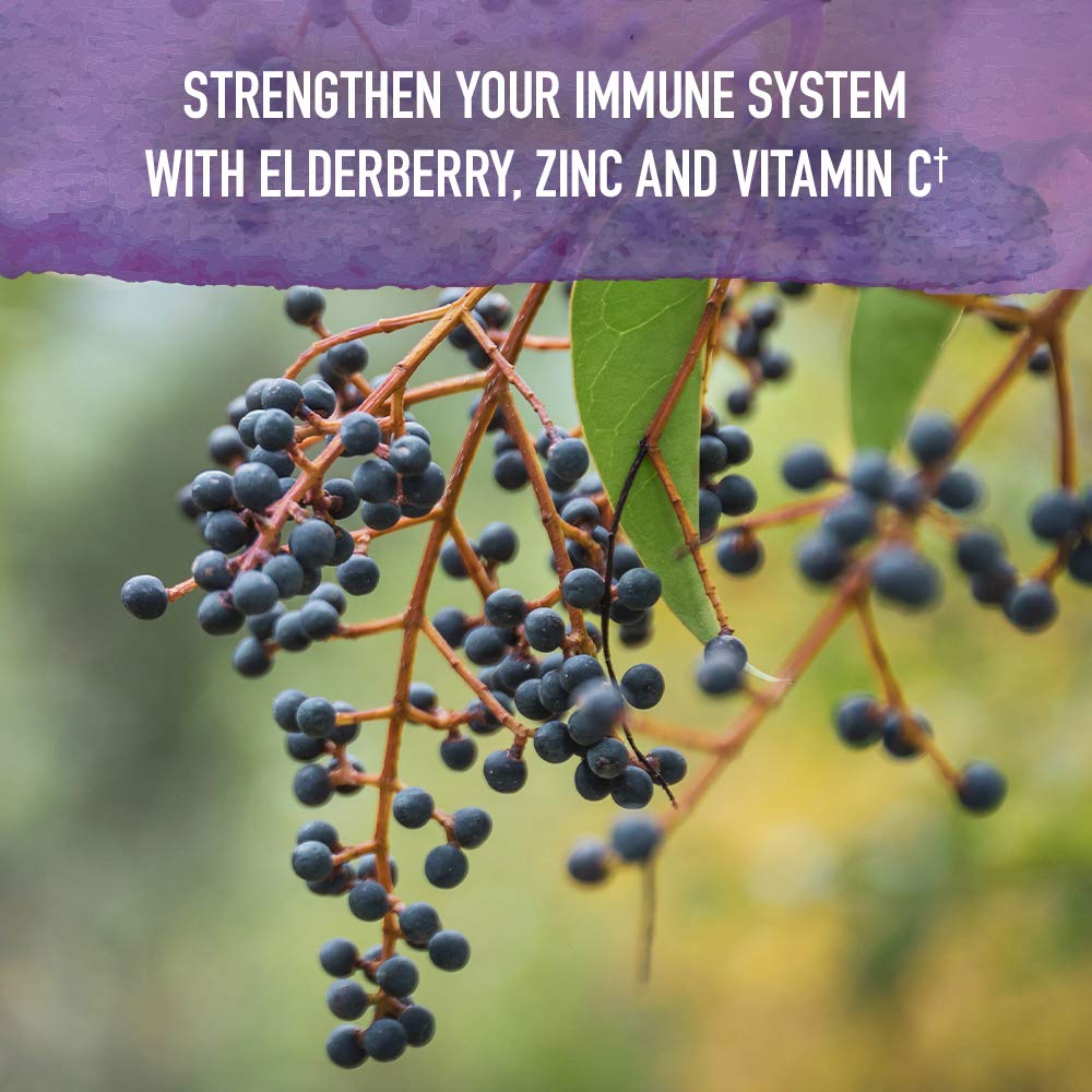 Adults dose of Garden of Life Organics Elderberry Zinc Immune Syrup for evening routine.