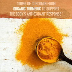 Garden of Life Organics fermented turmeric and ginger capsules close-up for bioavailability