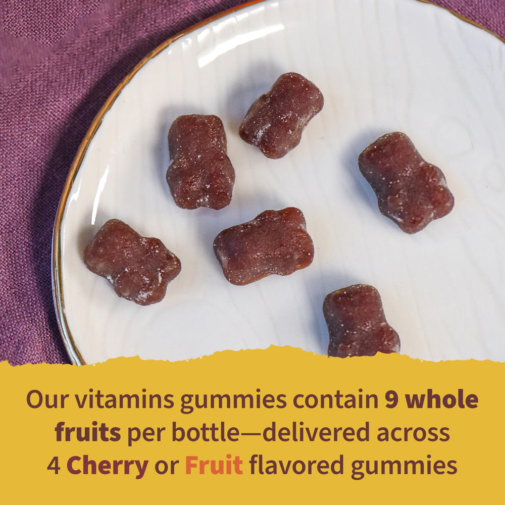 Garden of Life Organics Kids Multi Gummies berry flavor chews highlight essential nutrients