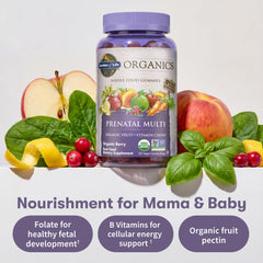 Garden of Life Organics Prenatal Gummies organic fruit fusion panel emphasizing real fruit nutrition