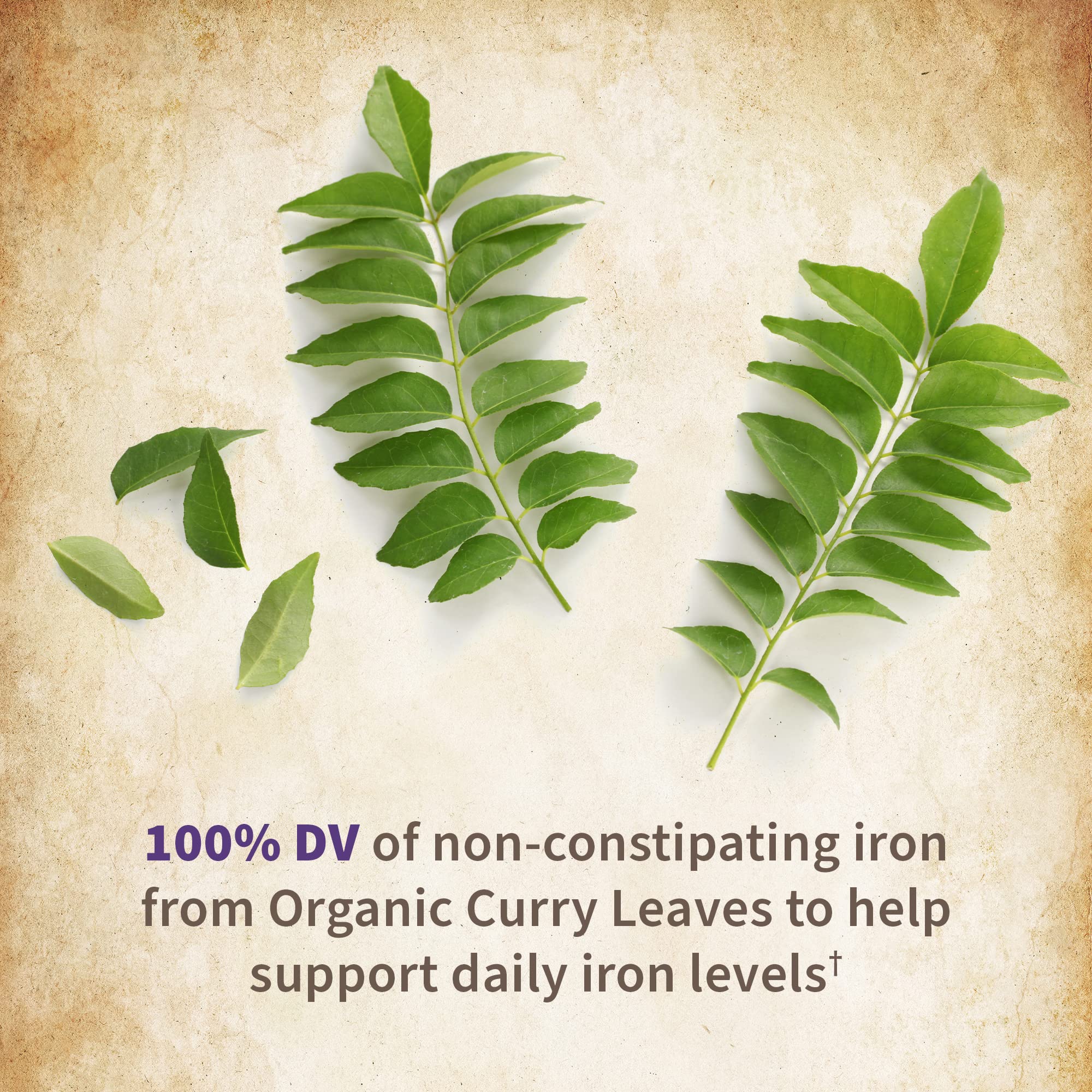Garden of Life Organics prenatal label mentions vegan D3 from lichen.