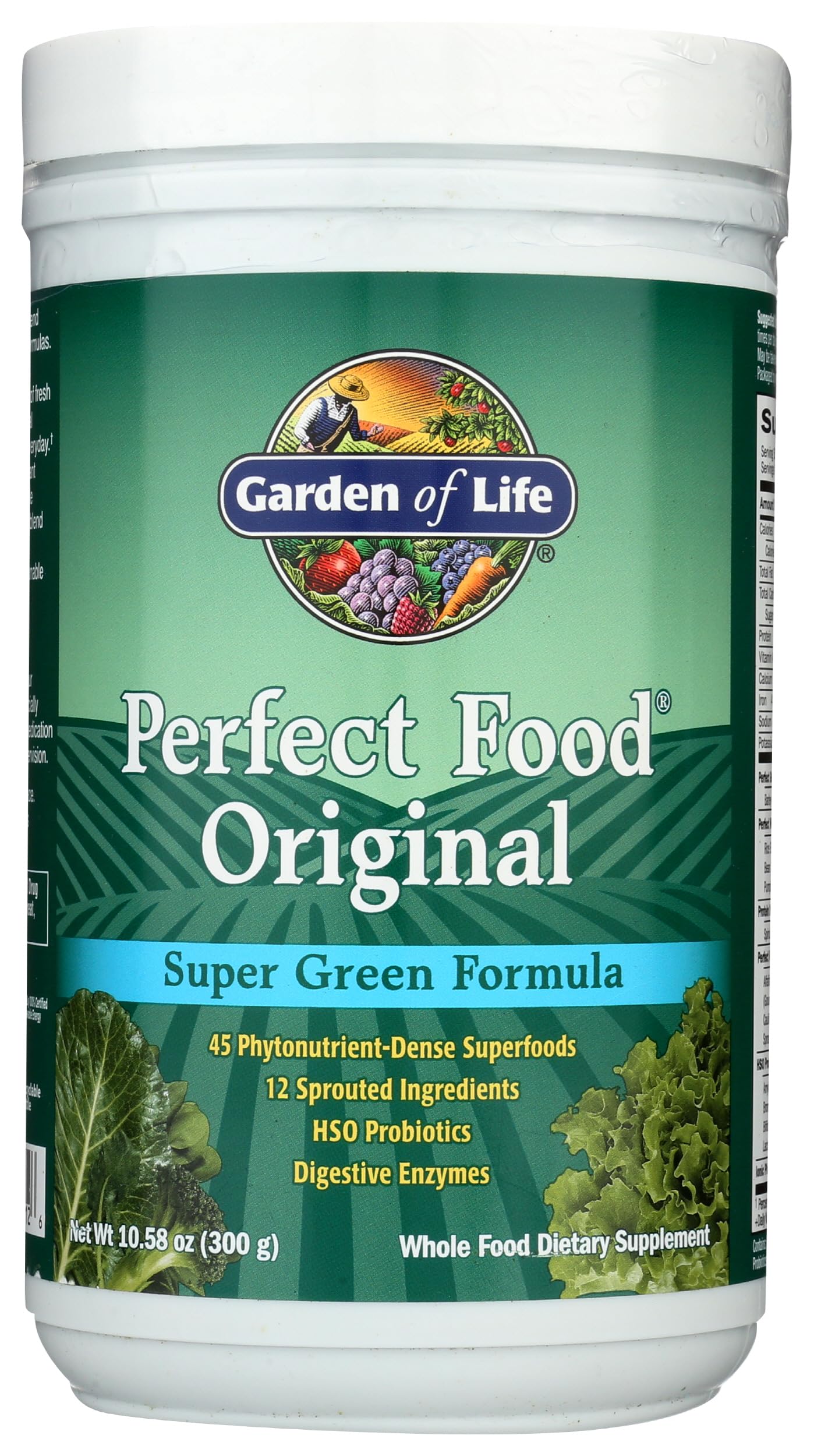 Garden of Life Perfect Food Powder bottle front view for daily greens.