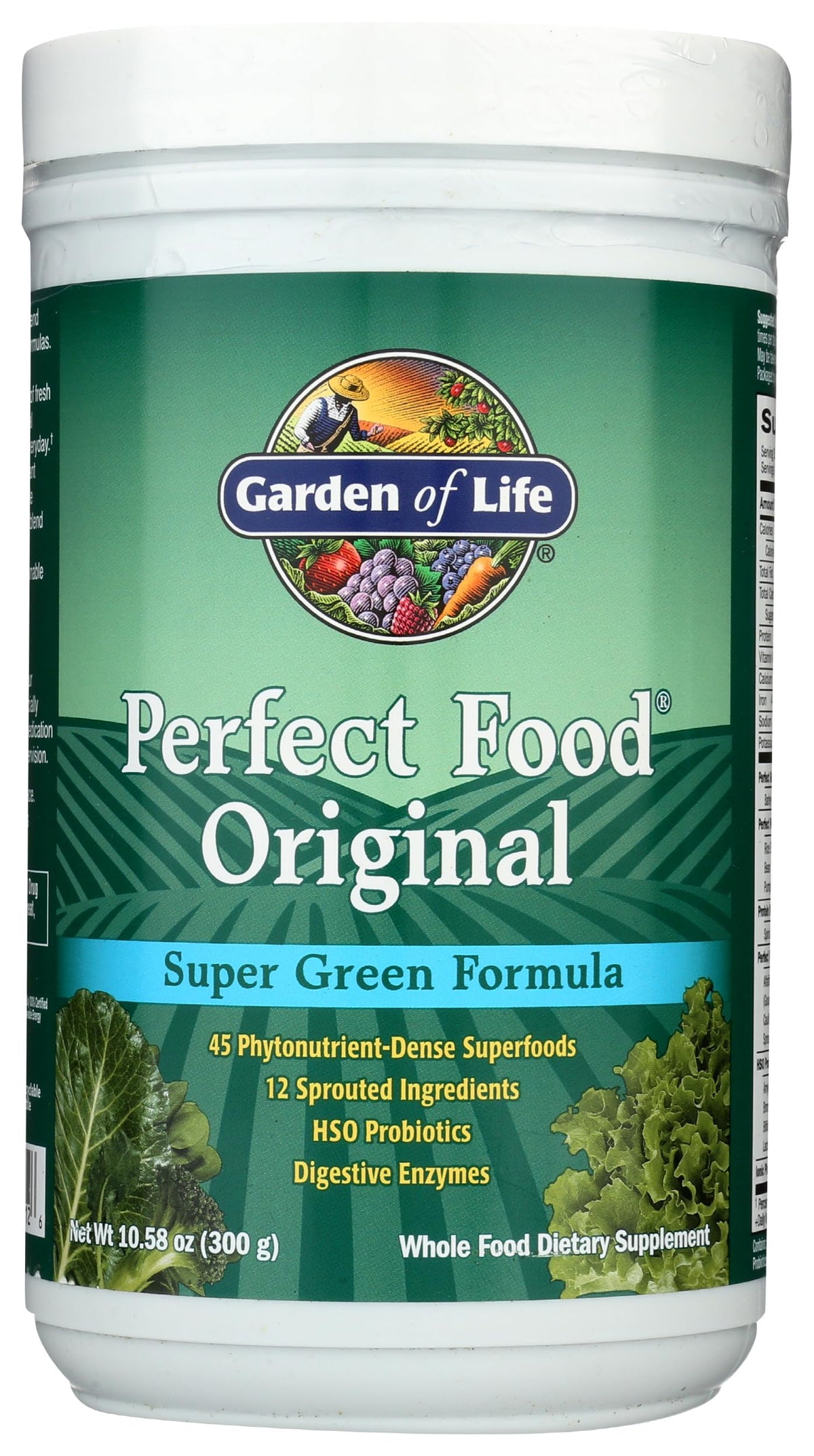Garden of Life Perfect Food Powder bottle front view for daily greens.