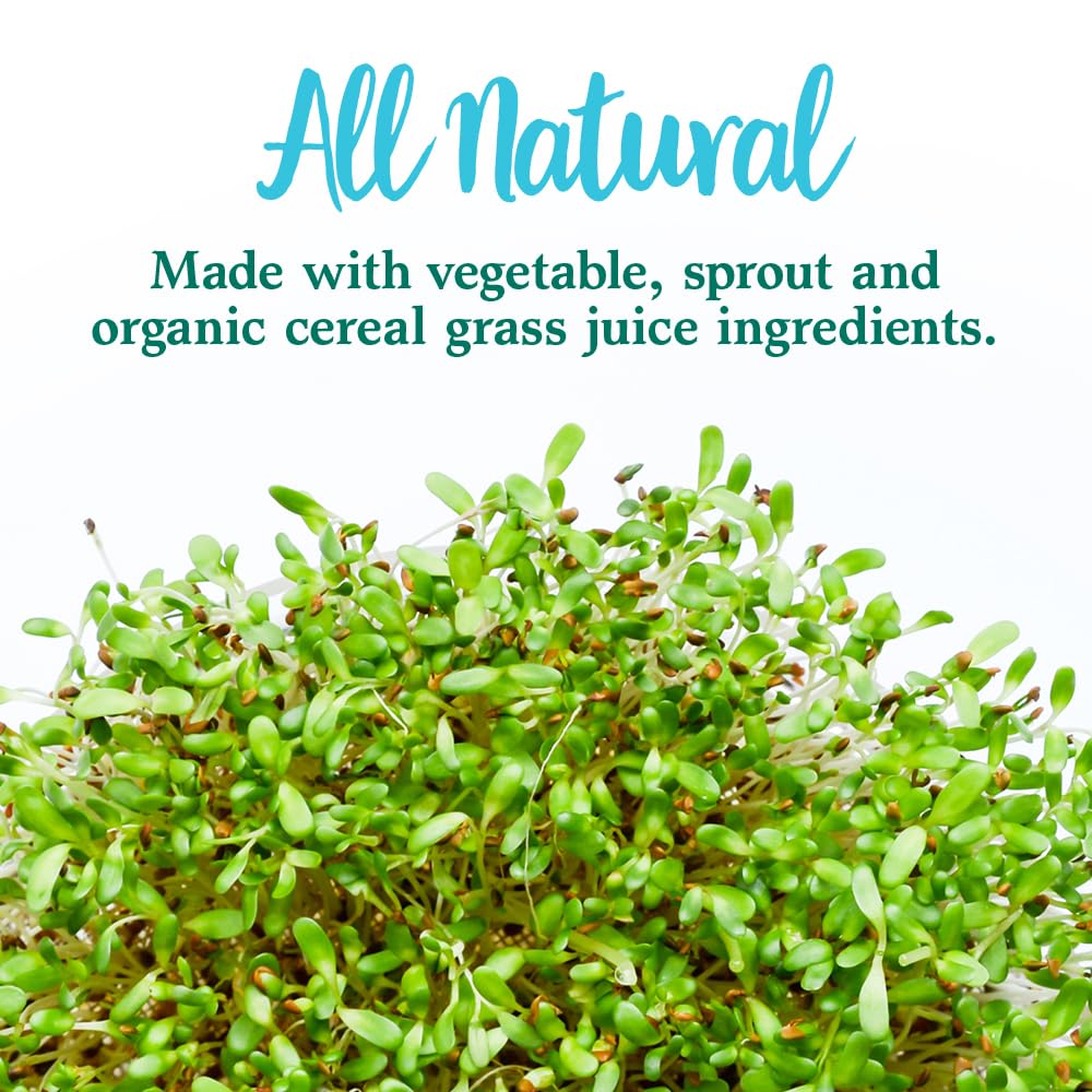Garden of Life Perfect Food probiotic DE111 supports daily digestion