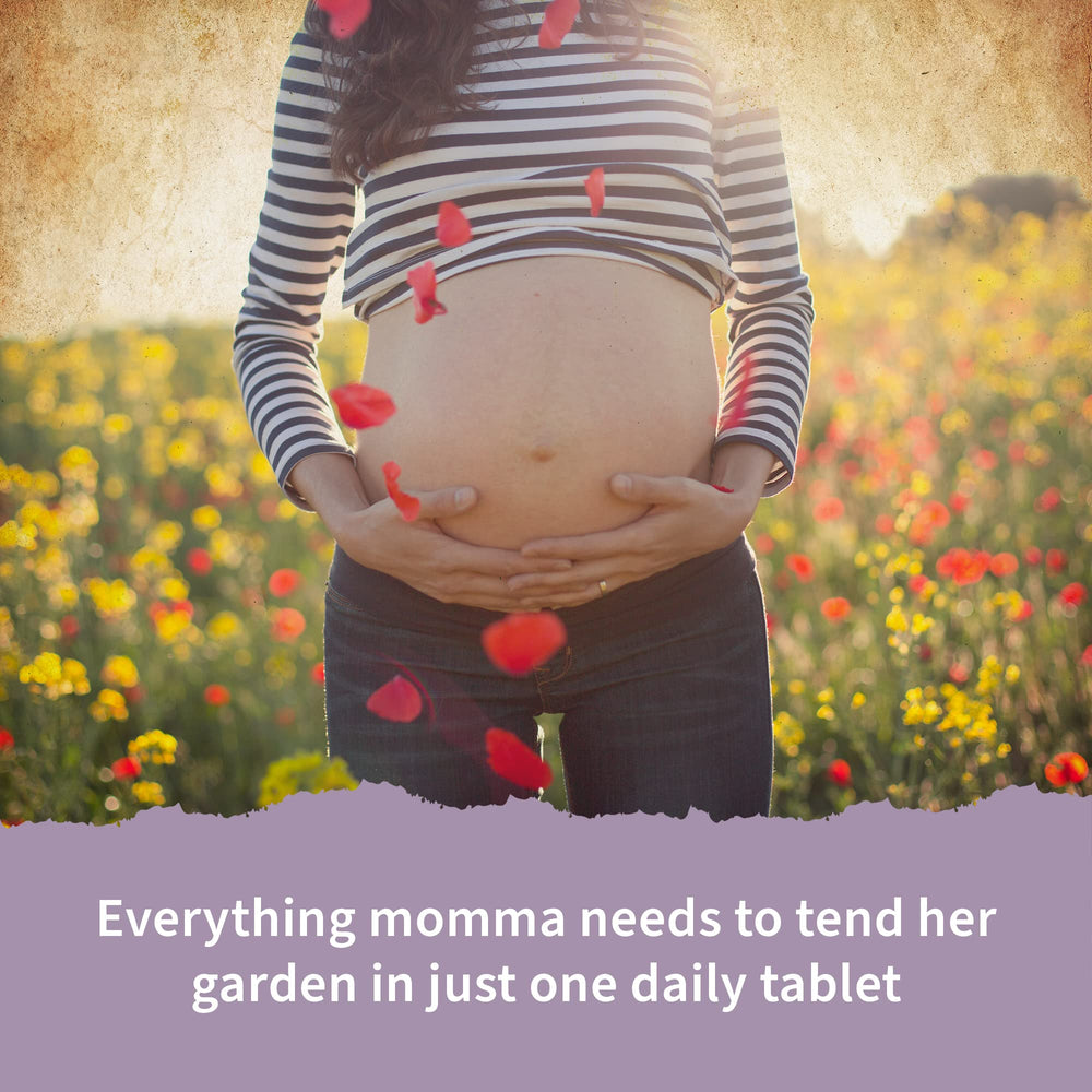 Garden of Life Prenatal organic ingredients showcased as whole-food nutrition