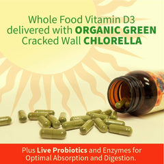 Garden of Life probiotic enzyme blend shown, suggesting enhanced digestion and nutrient absorption.
