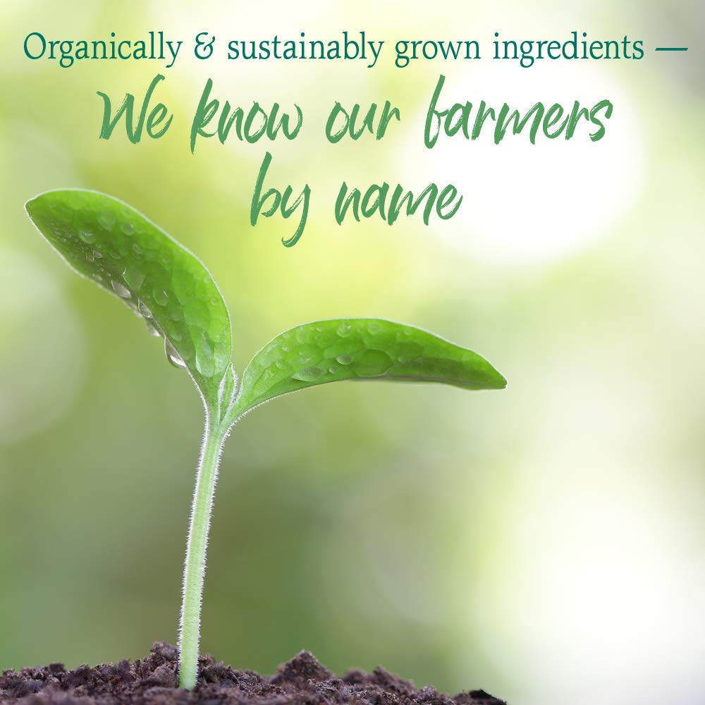 Garden of Life Raw Organic Greens ingredients close-up show natural nutrients.
