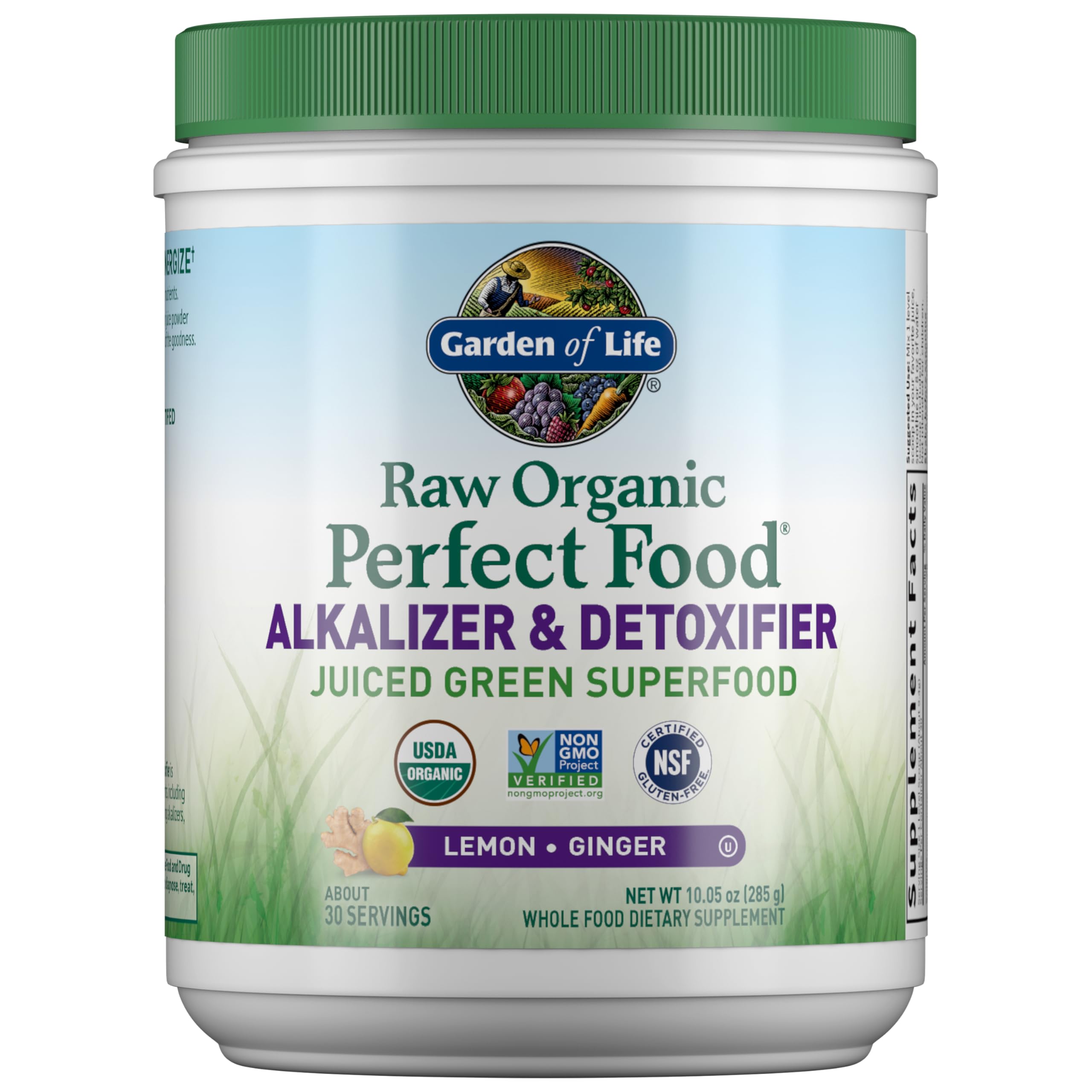 Garden of Life Raw Organic Perfect Food bottle showing convenient daily greens for balanced nutrition