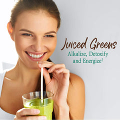 Garden of Life Raw Organic Perfect Food Chocolate shake, smooth vegan energy.