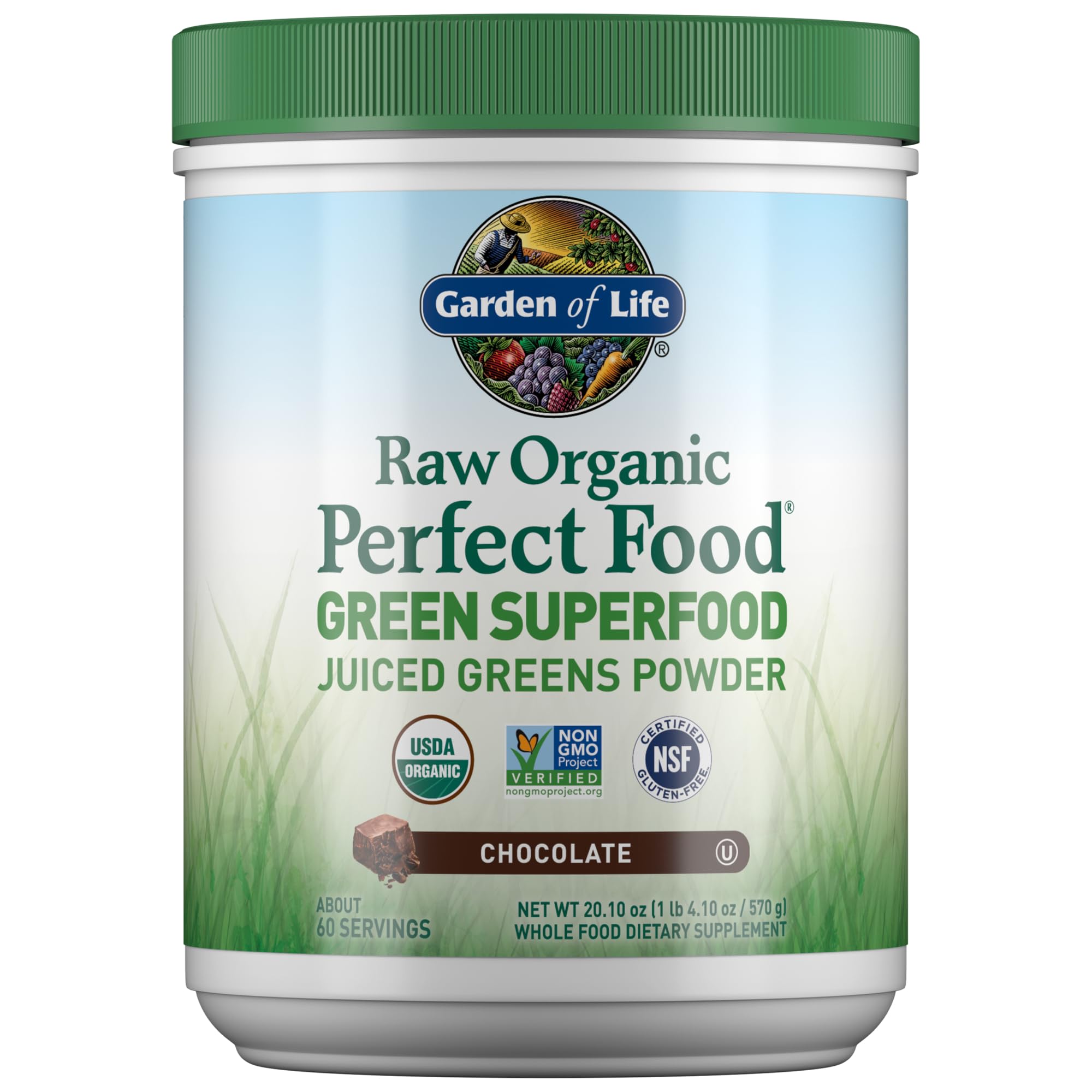 Garden of Life Raw Organic Perfect Food Chocolate tub front showing a rich, energy-boosting greens powder.