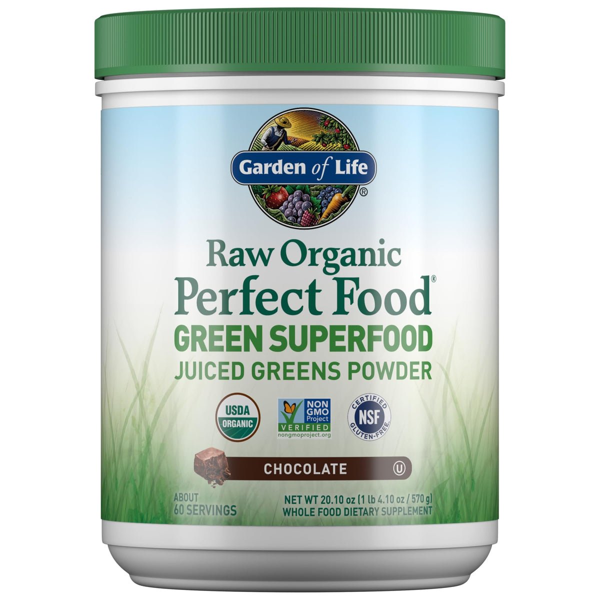 Garden of Life Raw Organic Perfect Food Chocolate tub front showing a rich, energy-boosting greens powder.