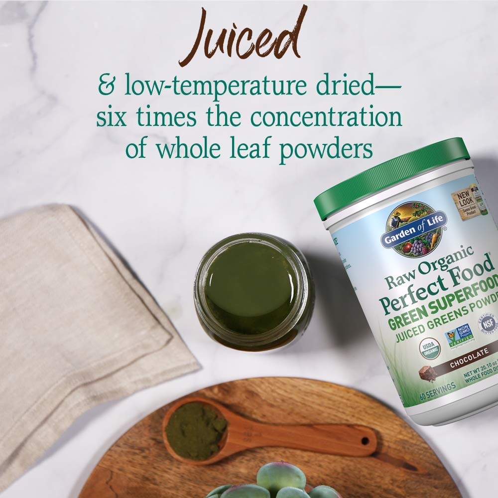 Garden of Life Raw Organic Perfect Food Chocolate tub with spoon, ready for a quick nutrient boost.