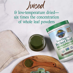 Garden of Life Raw Organic Perfect Food Chocolate tub with spoon, ready for a quick nutrient boost.