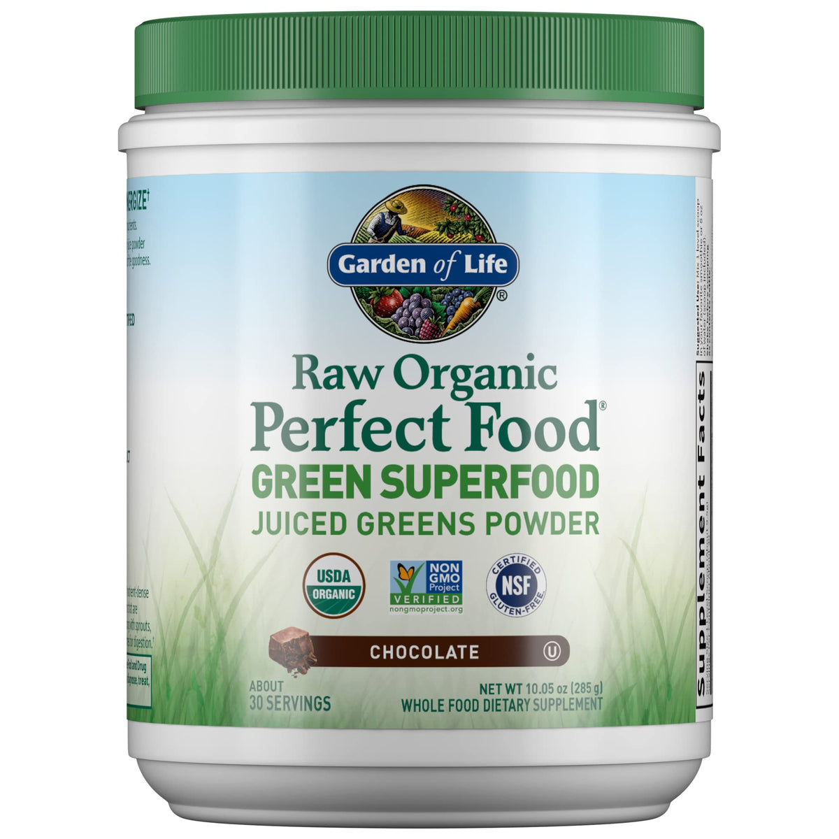 Garden of Life Raw Organic Perfect Food Chocolate tub, daily greens boost.