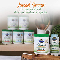 Garden of Life Raw Organic Perfect Food Energizer jar with RAW organic greens and enzymes label