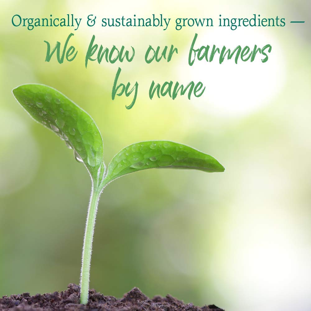 Garden of Life Raw Organic Perfect Food Energizer probiotic illustration signifying digestive support
