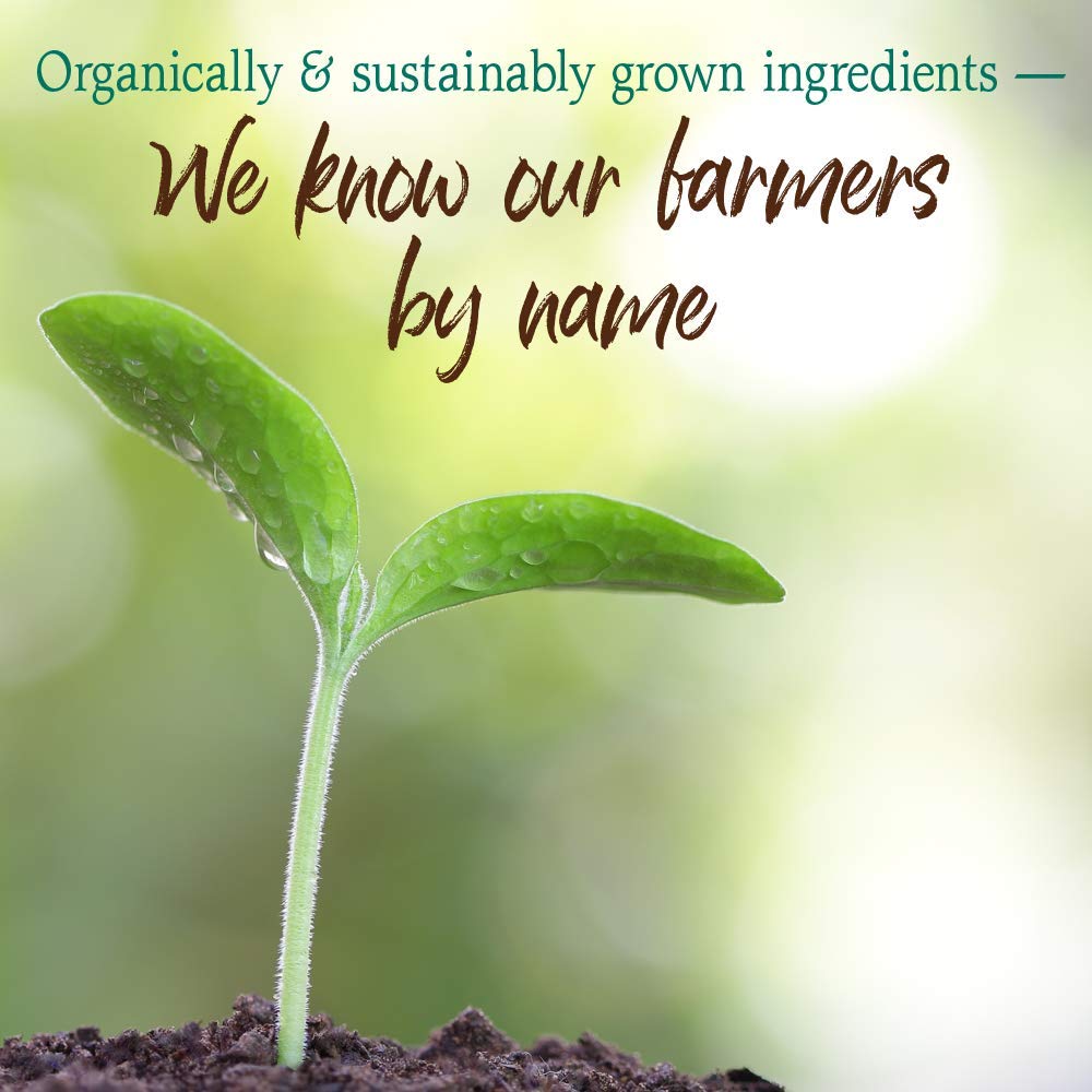 Garden of Life Raw Organic Perfect Food vegan, dairy-free ingredients for clean nutrition.