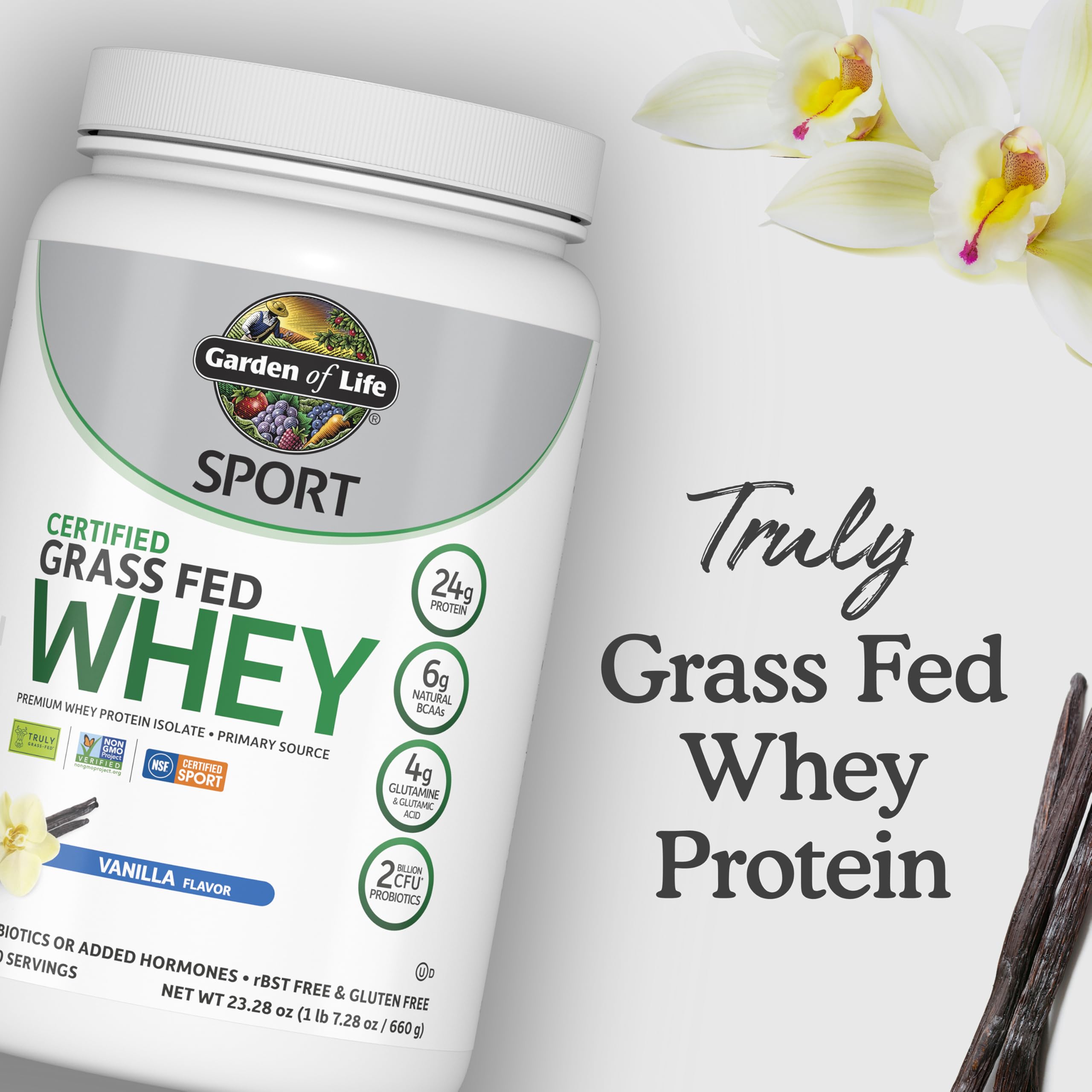 Scoop close-up emphasizing vanilla flavor and protein texture