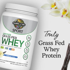 Scoop close-up emphasizing vanilla flavor and protein texture