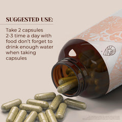 Close-up of Garden Organics Horsetail capsules highlighting purity and quality.