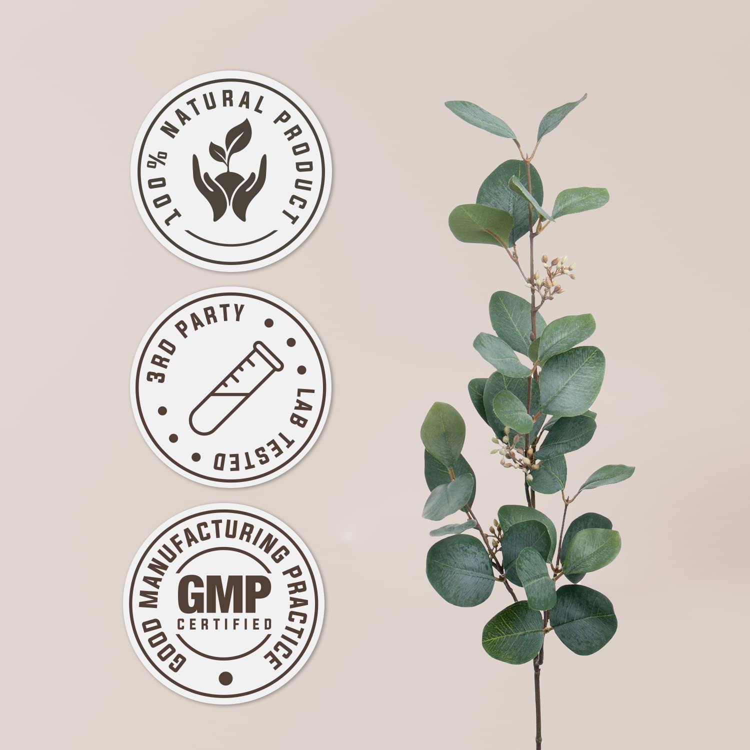 Garden Organics Rhodiola dropper in glass foreground, signaling convenient daily use.