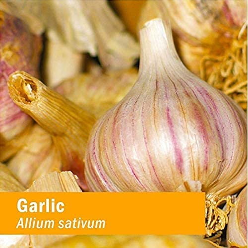 Herb Pharm Garlic Extract non-GMO label communicates product integrity.