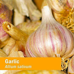 Herb Pharm Garlic Extract non-GMO label communicates product integrity.