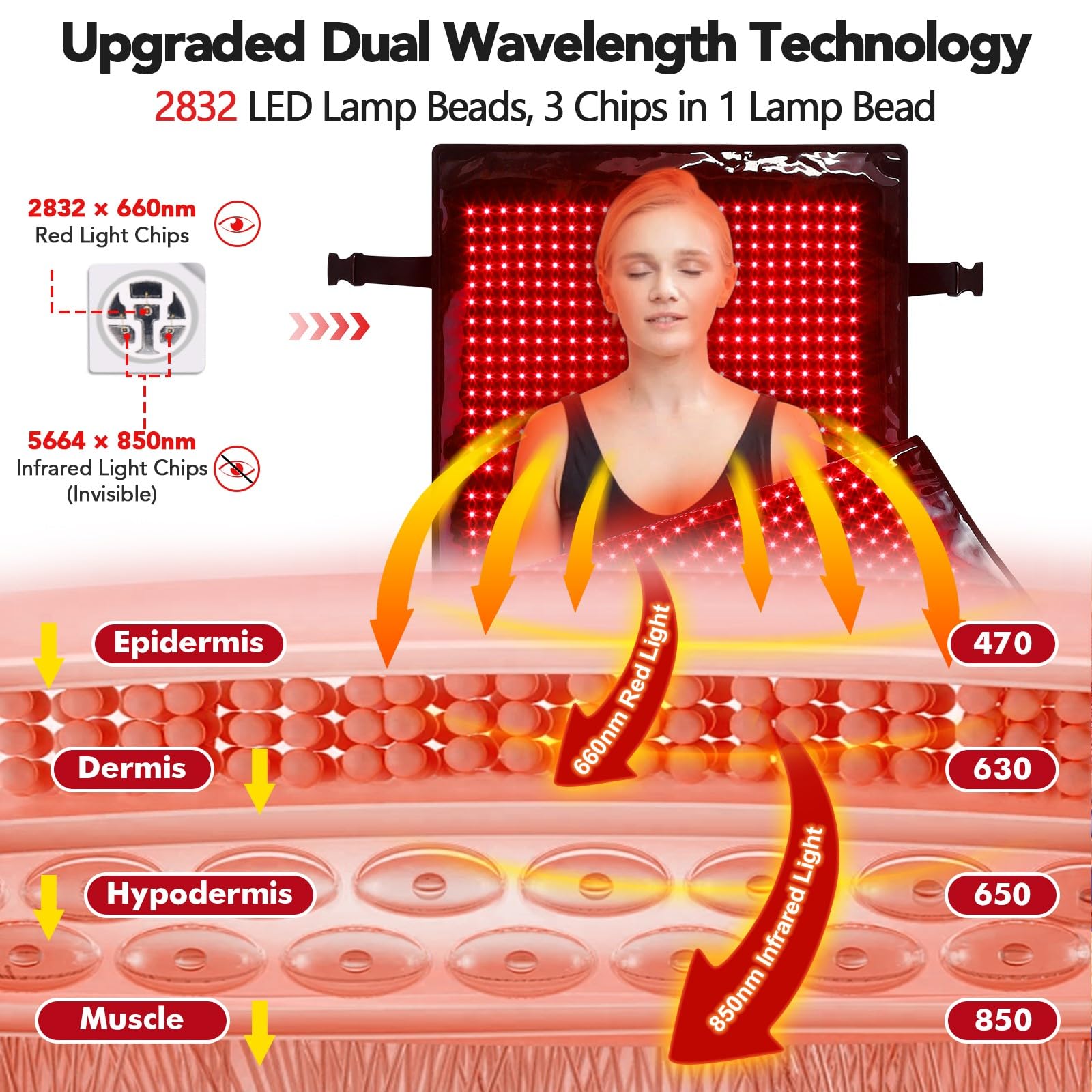GarveeHome dual-wavelength 660nm-850nm technology targets tissues across depths